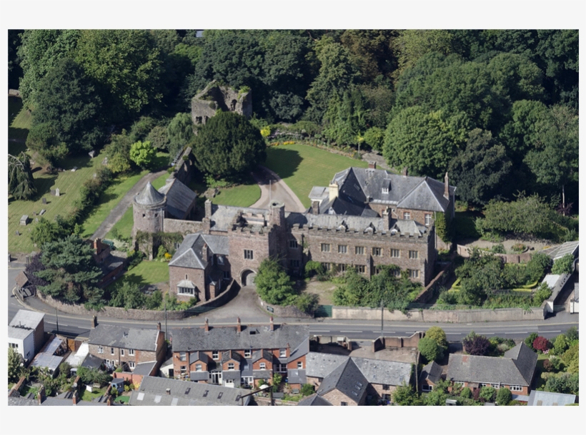 Click On A Row And Scroll To Display More Details About - Tree, transparent png #7912859