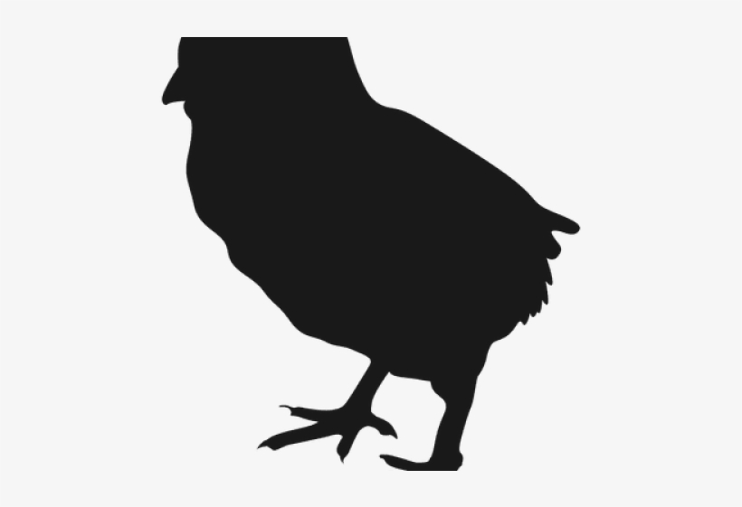 Rooster Clipart Transparent Background - Silhouette Chick Svg, transparent png #7913116