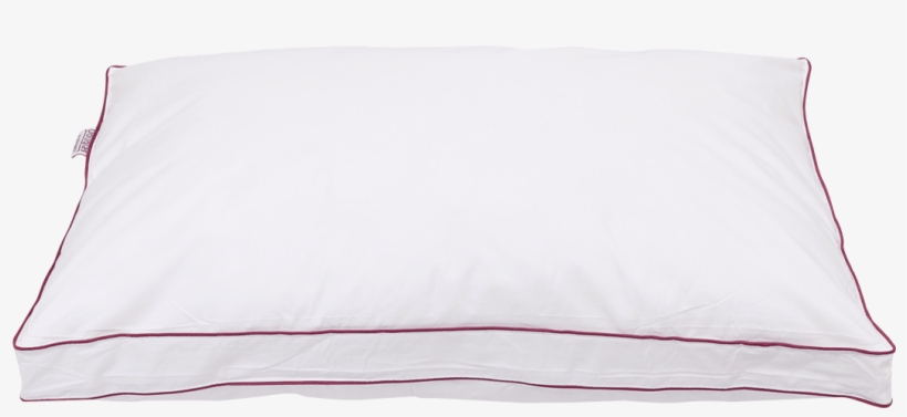 Pillow-front - Pillow, transparent png #7913120