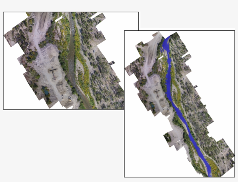 Remote Sensing And The Use Of Aerial Images Combine - Tree, transparent png #7913367