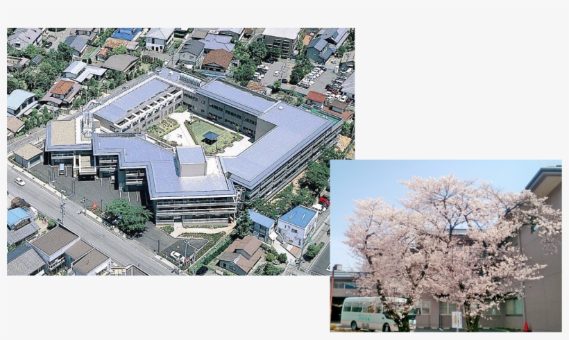 Study In Nagano Surrounded By A Rich Natural Environment - Metropolitan Area, transparent png #7913457