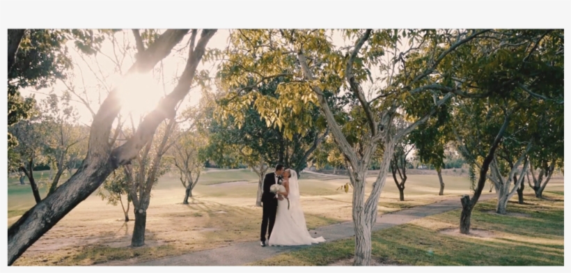 Experienced And Professional Wedding Photographers - Photograph, transparent png #7913581