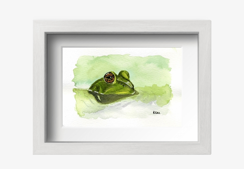 Acuarela Sapo Con Marco - Picture Frame, transparent png #7915053