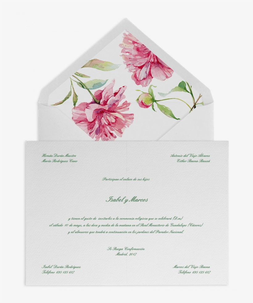 Peonias Acuarela - Gilliflower, transparent png #7915546