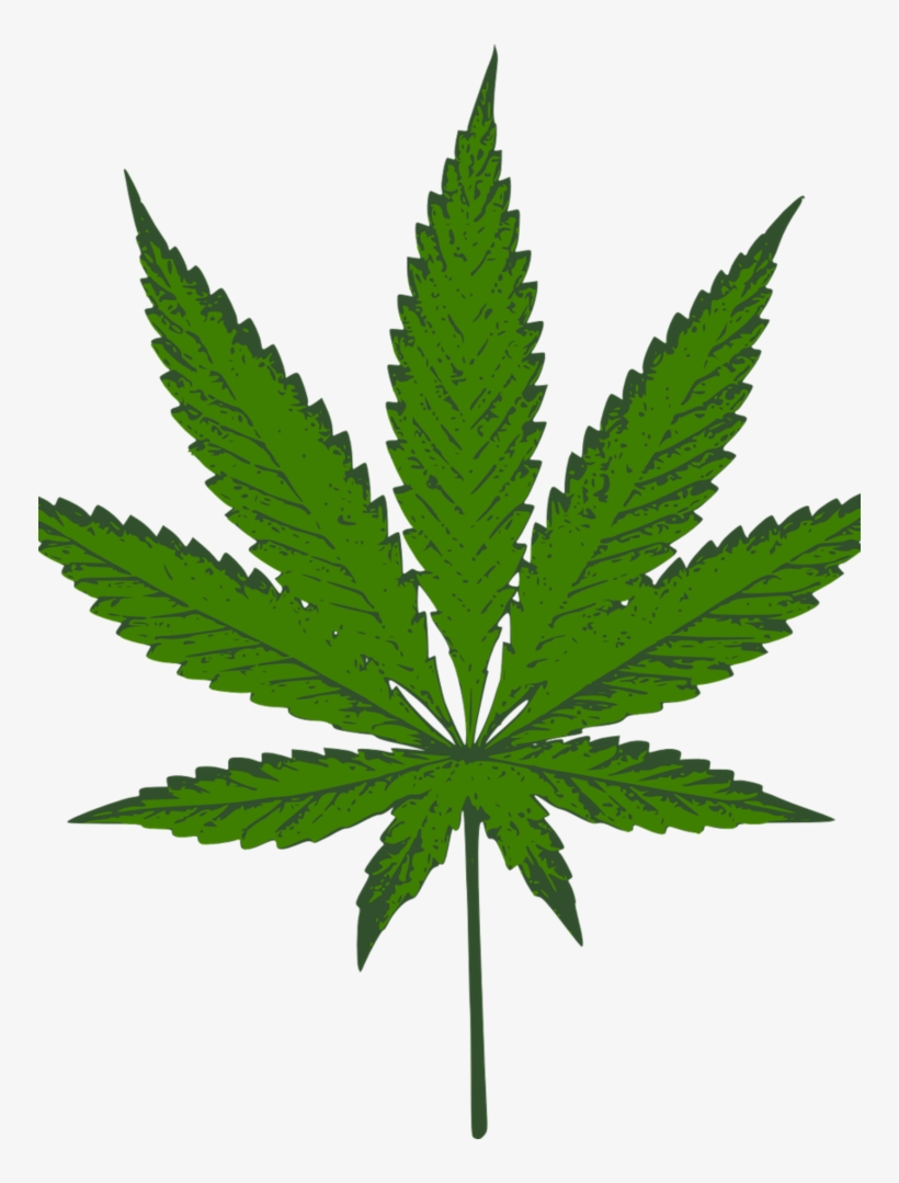 Medical Marijuana Is Legal In Arizona - Dark Green Weed Leaf, transparent png #7915578