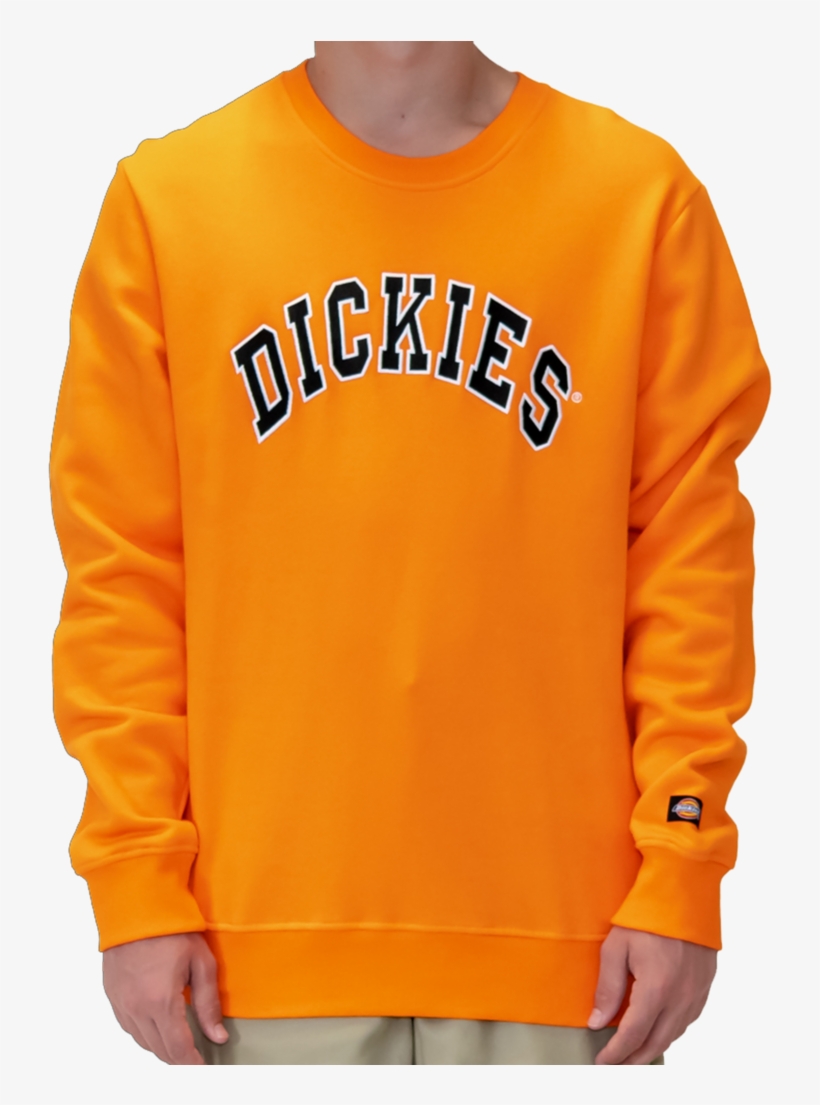 Princeton Crewneck - Sweatshirt, transparent png #7916628