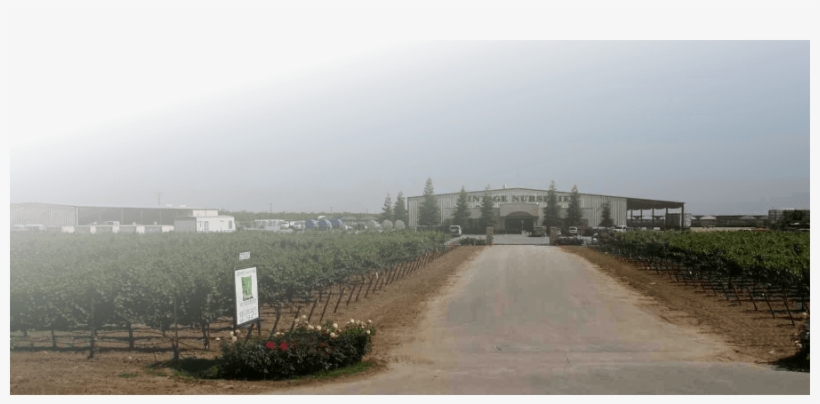 View Current Issue - Road, transparent png #7916795