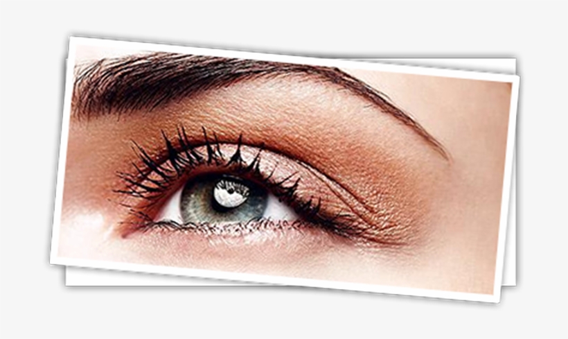 Eyelash & Eyebrow Tinting - Eyebrow Shapes, transparent png #7917132