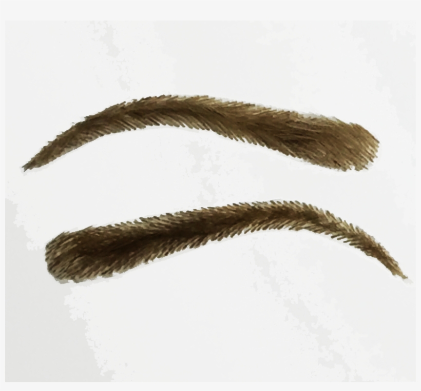 Kimk False Eyebrow - Sweet Grass, transparent png #7917526