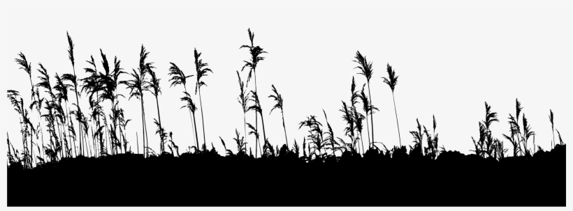Big Image - Silhouette, transparent png #7917674