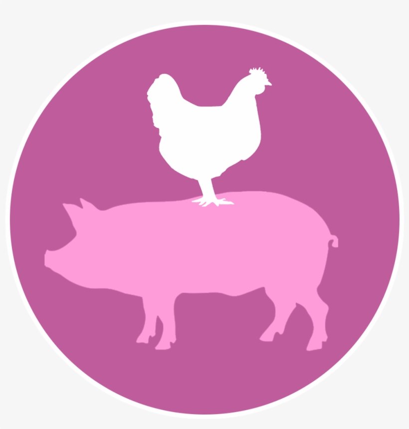 Bacon & Eggs - Rooster, transparent png #7917750
