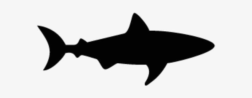 Hammerhead Shark Clipart Shark Shadow - Shark Svg, transparent png #7918084