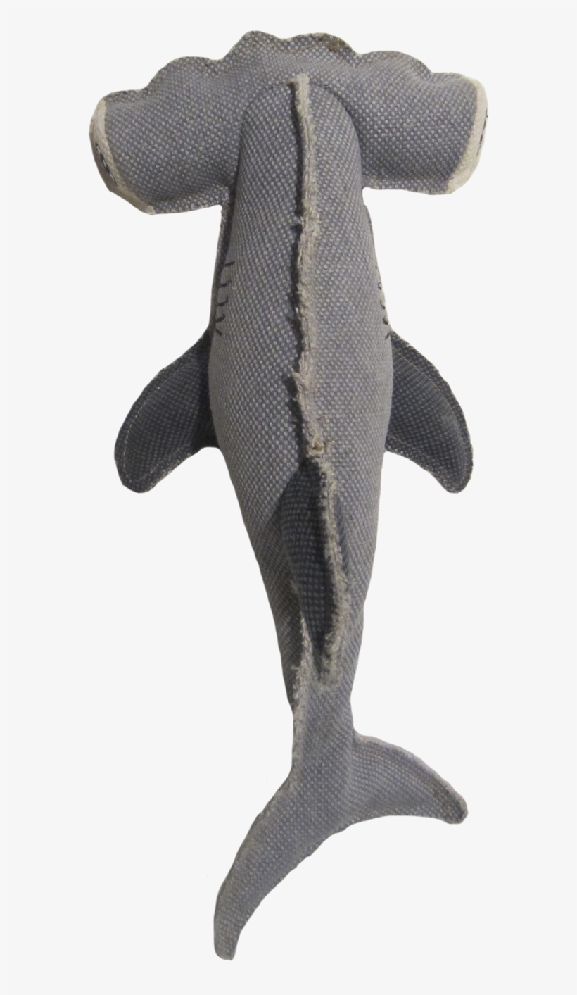 Join The Fastest Growing Pet Community For Free - Trout, transparent png #7918118