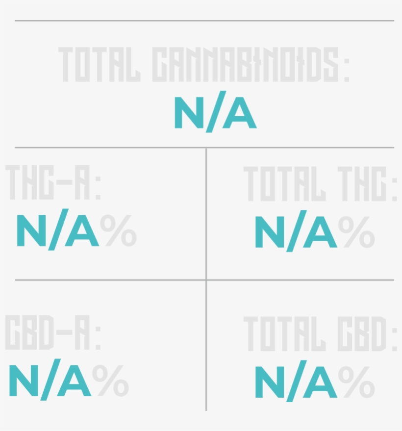 Hammerhead Shark - Graphic Design, transparent png #7918277