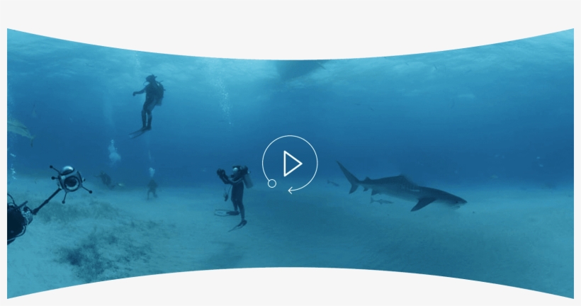 Dive In With Dr - Underwater, transparent png #7918383