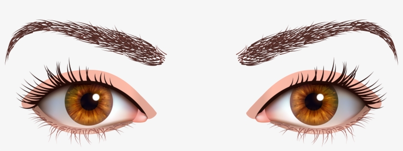 Brown Female Eyes Png Clipart - Green Eyes Png, transparent png #7918724