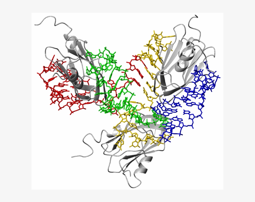 A Special Issue Of Chemical Reviews On The Topic "rna - Illustration, transparent png #7919571