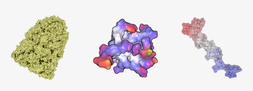 Combined With Our Fast Computation We Are Able To Render, transparent png #7919759