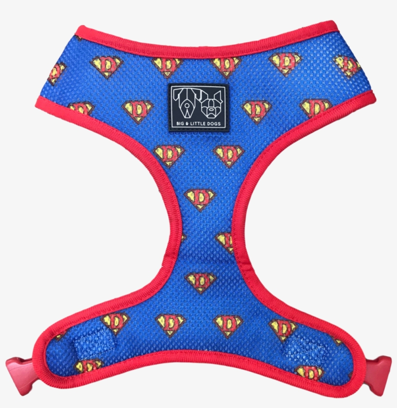 More Views - Undergarment, transparent png #7919786