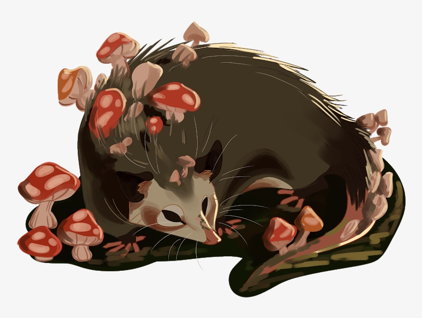 Mushroom Opossum - Illustration, transparent png #7919864