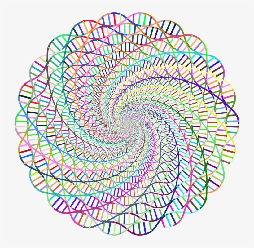 Dna, Deoxyribonucleic Acid, Health, Molecules - Deoxyribonucleic Acid, transparent png #7919902