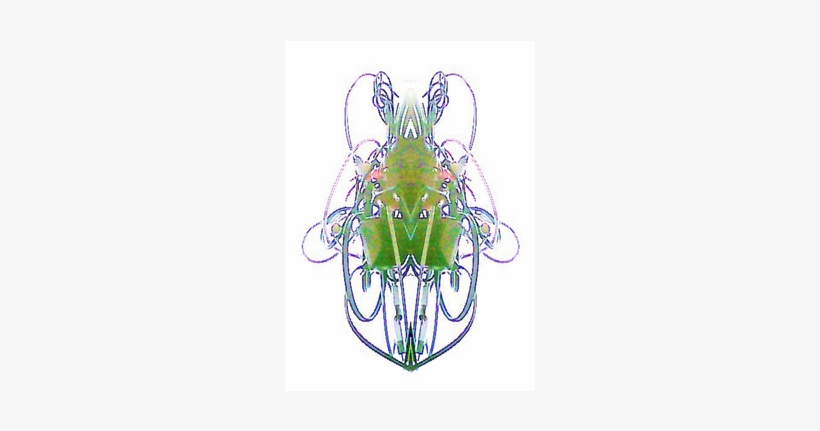 Nouveau Art Nouveau - Visual Arts, transparent png #7919945