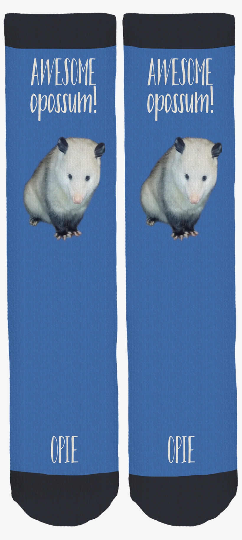 Hamster, transparent png #7919974