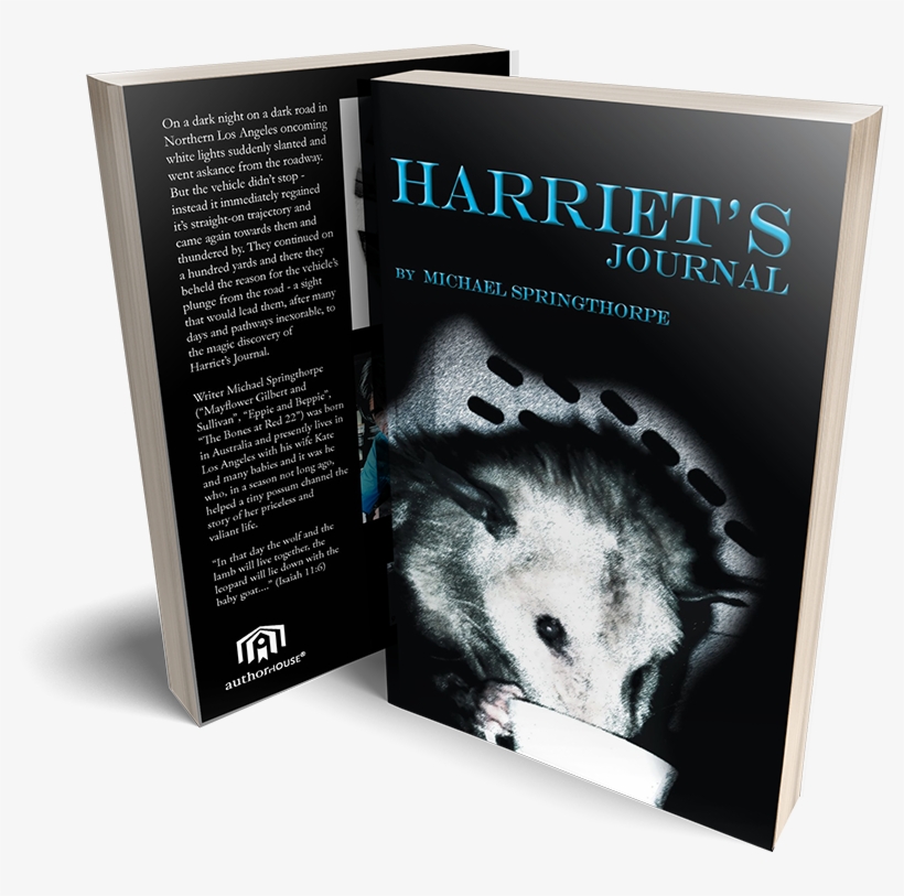 Harriet's Journal - Common Opossum, transparent png #7920235