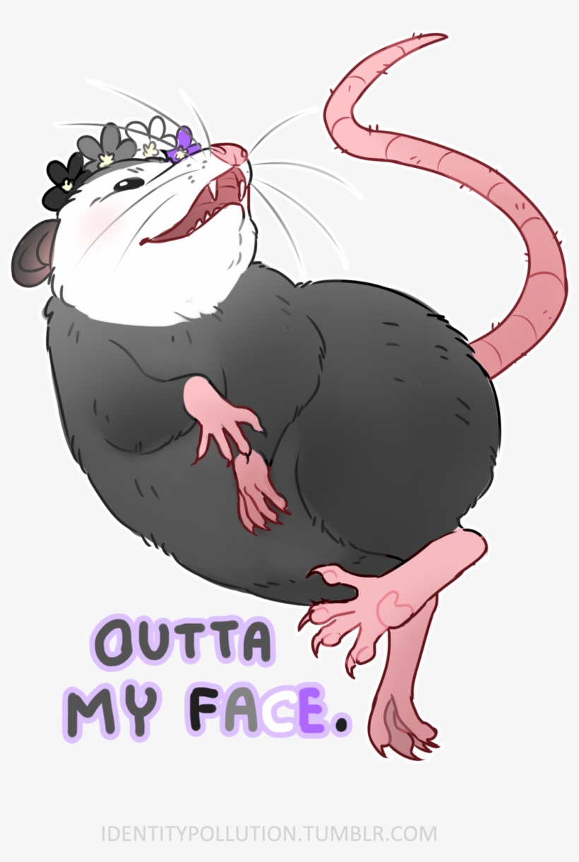 “today's Pride Opossum Of The Day Is Asexual Screw - Dog Catches Something, transparent png #7920322