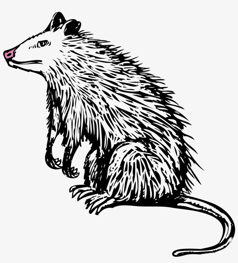 Illustration, transparent png #7920626