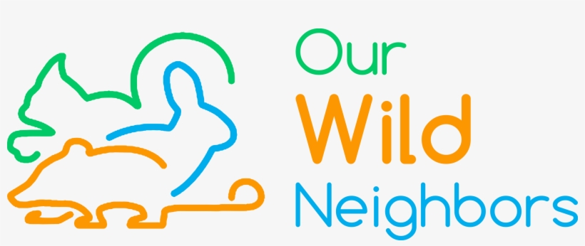 Graphic Design, transparent png #7920768
