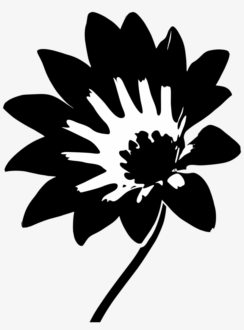 Gazania Rigens Var - African Daisies Svg, transparent png #7921494