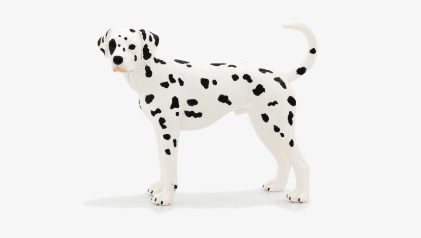 Mojo Animal Planet Dogs, transparent png #7922165