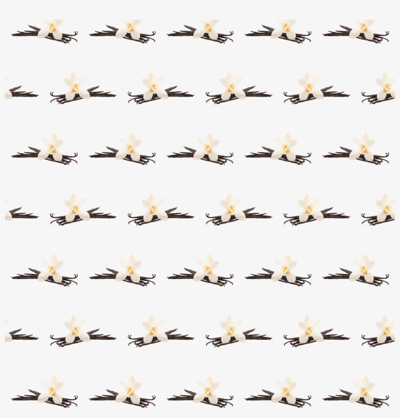 Vanilla Protein Powder - Duck, transparent png #7922364