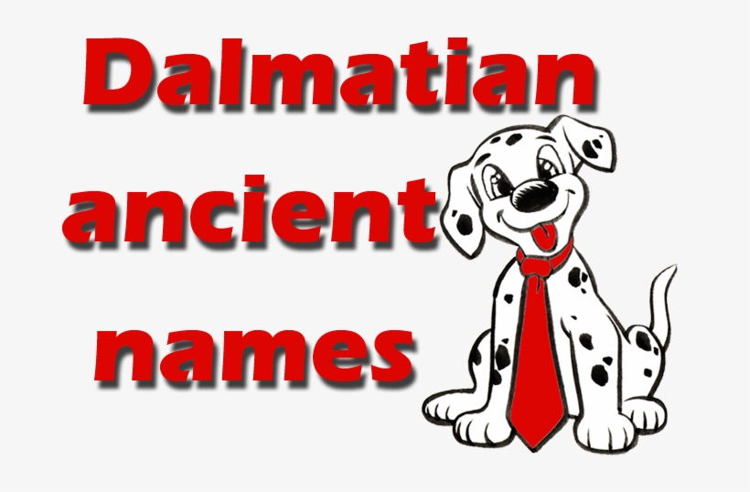 Real And Unique Ancient Dalmatian Names - Dalmatian Names, transparent png #7922414