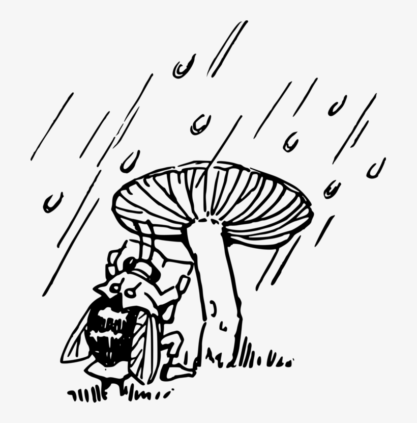 Bee Drawing /m/02csf Line Art Cartoon - Drawing, transparent png #7922558