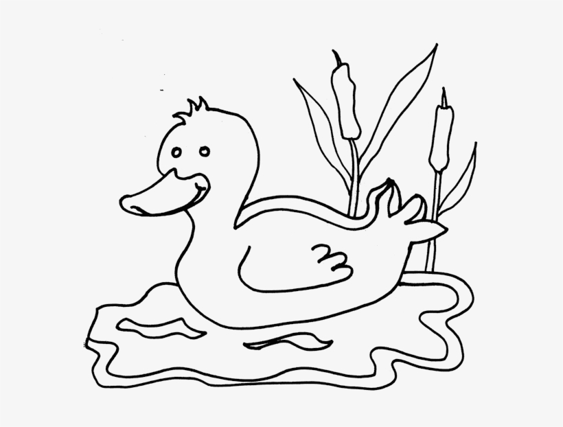 Excellent Dibujos Animados Para Colorear De Animales - Duck Colouring, transparent png #7923355
