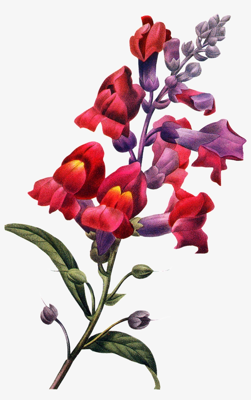 A Colorful Flower Branch Transparent - Design, transparent png #7923955