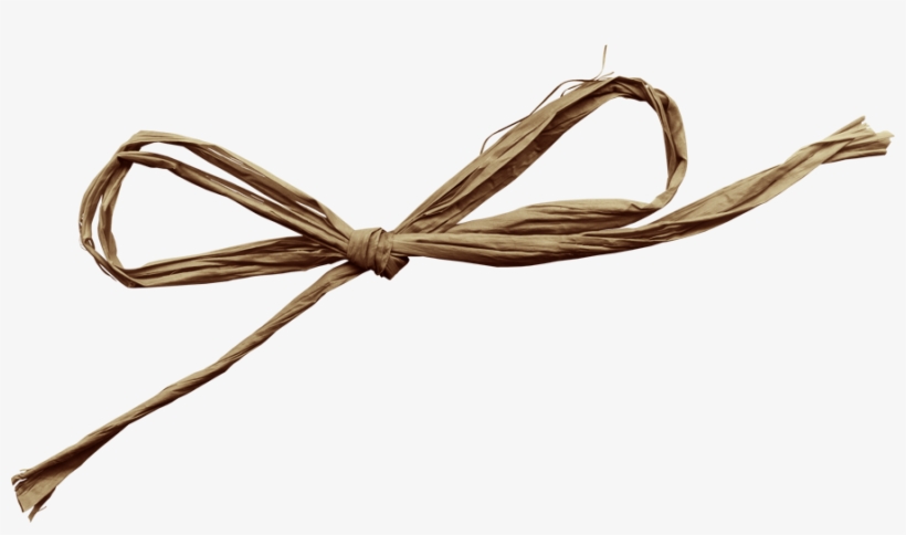 0 134ab3 F31c9110 Orig - Yandex.fotki, transparent png #7924189