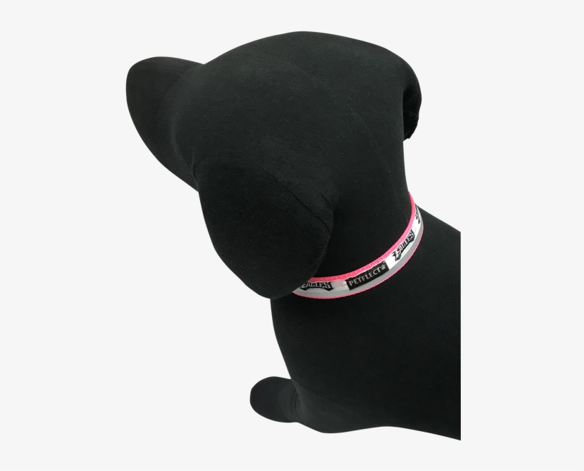 Philadelphia Eagles Dog Collar - Dog, transparent png #7925381
