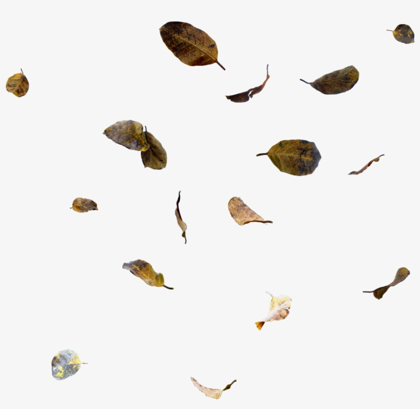 Ftestickers Sticker - Moths And Butterflies, transparent png #7926483