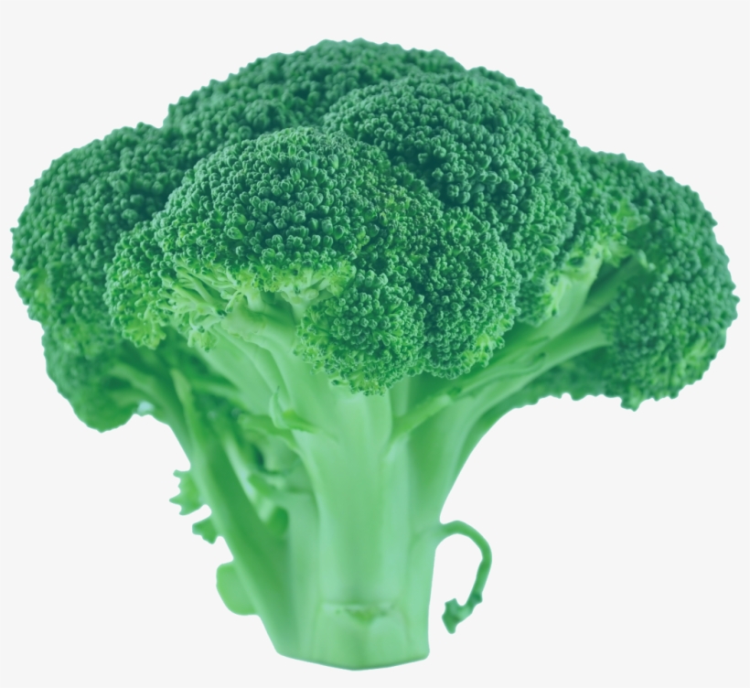 Brocoli Green Trans 2 - Broccoli, transparent png #7927098