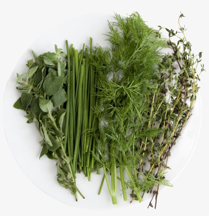 Chef - Grass, transparent png #7927249