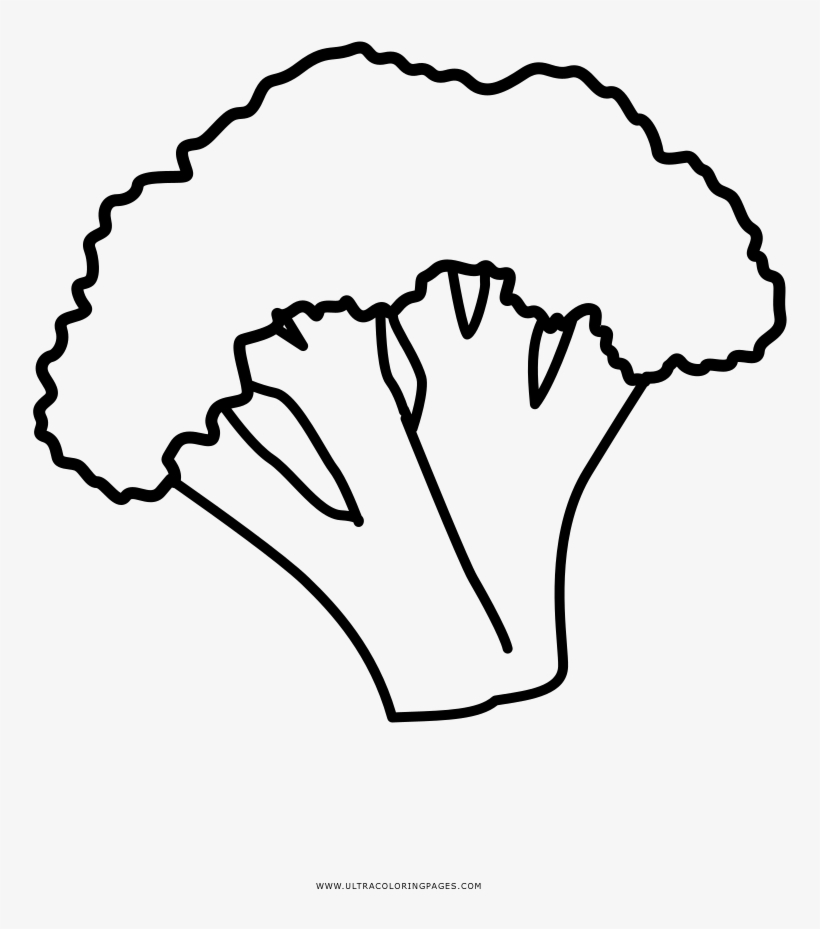 Broccoli Coloring Page - Line Art, transparent png #7927623