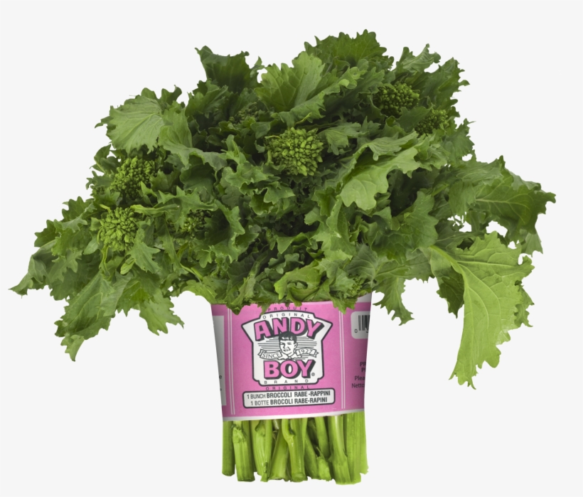 Darrigo Broccoli Rabe - Broccoli Rabe Bunch, transparent png #7928053