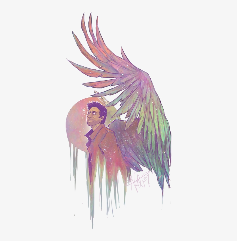 Transparent Angel Wings - Macaw, transparent png #7928101