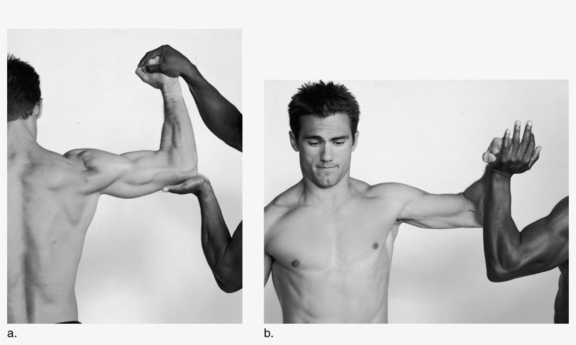 Image Not Available - Infraspinatus Muscle Action On Person, transparent png #7929864