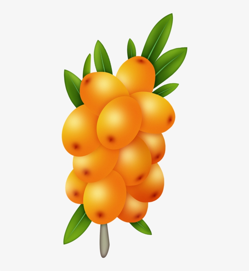 Tropical Watercolor Fruit, Fruit Painting, All Fruits, - Seedless Fruit, transparent png #7930449