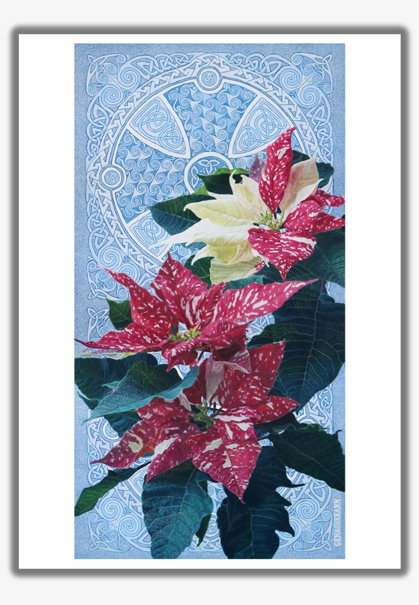 Good Tidings Of Great Joy Poinsettia Christmas Card - Poinsettia, transparent png #7930997