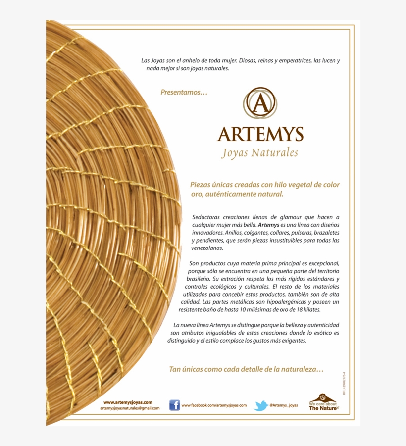 Hoja Introductoria 2 - Plywood, transparent png #7931127